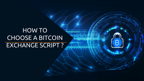 Guide For Bitcoin Businessman – How to choose the best bitcoin exchange script