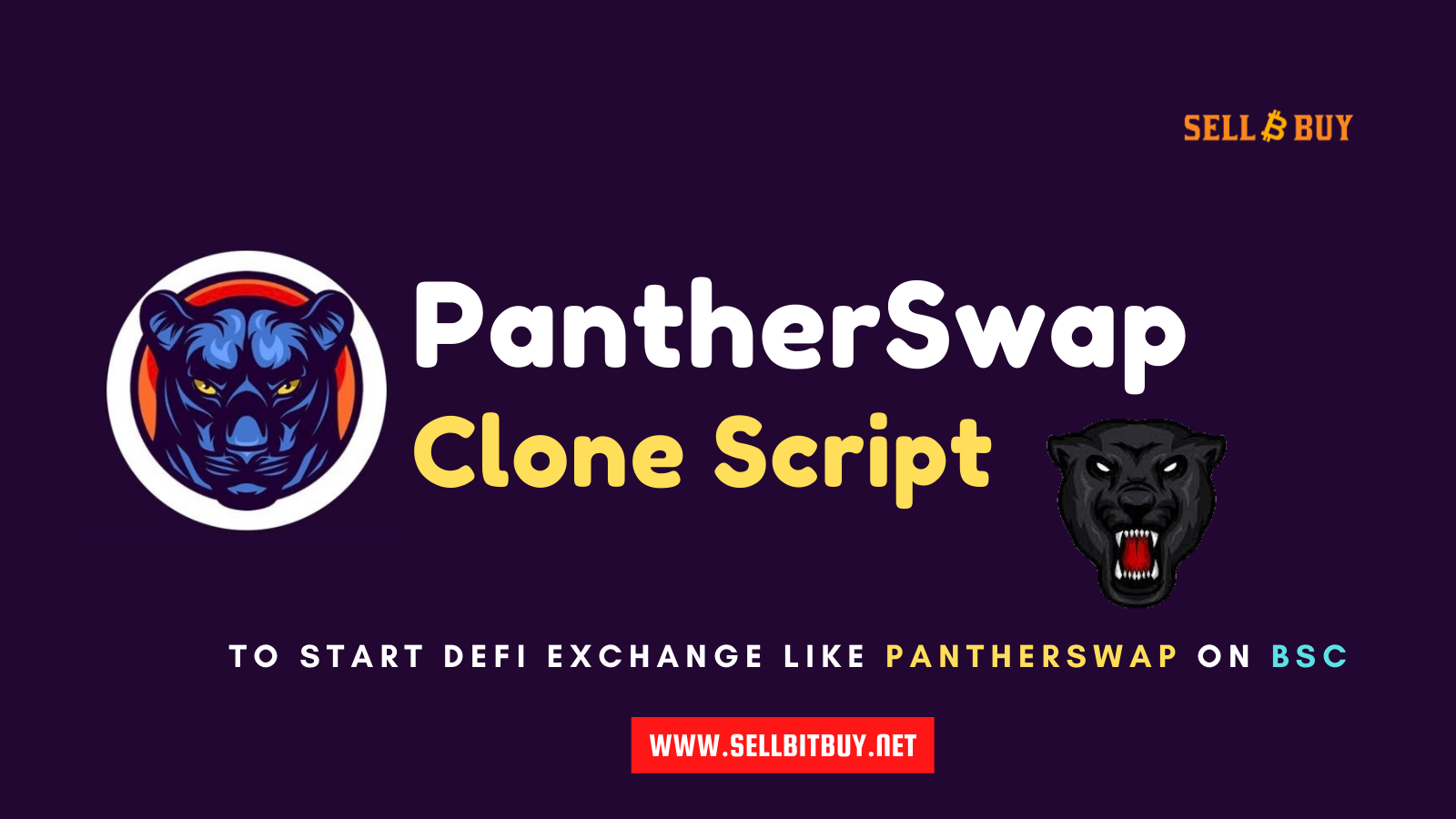 PantherSwap - To Create & Launch A DeFi Exchange Like PantherSwap On Binance Smart Chain