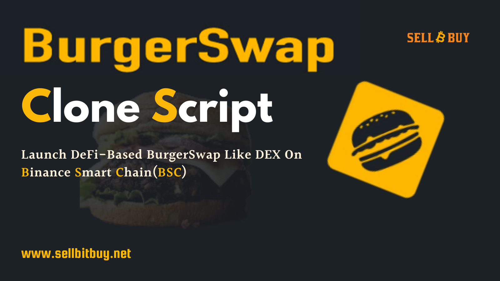 BurgerSwap Clone Script - Create DeFi DEX Like Burger Swap On Binance Smart Chain (BSC)