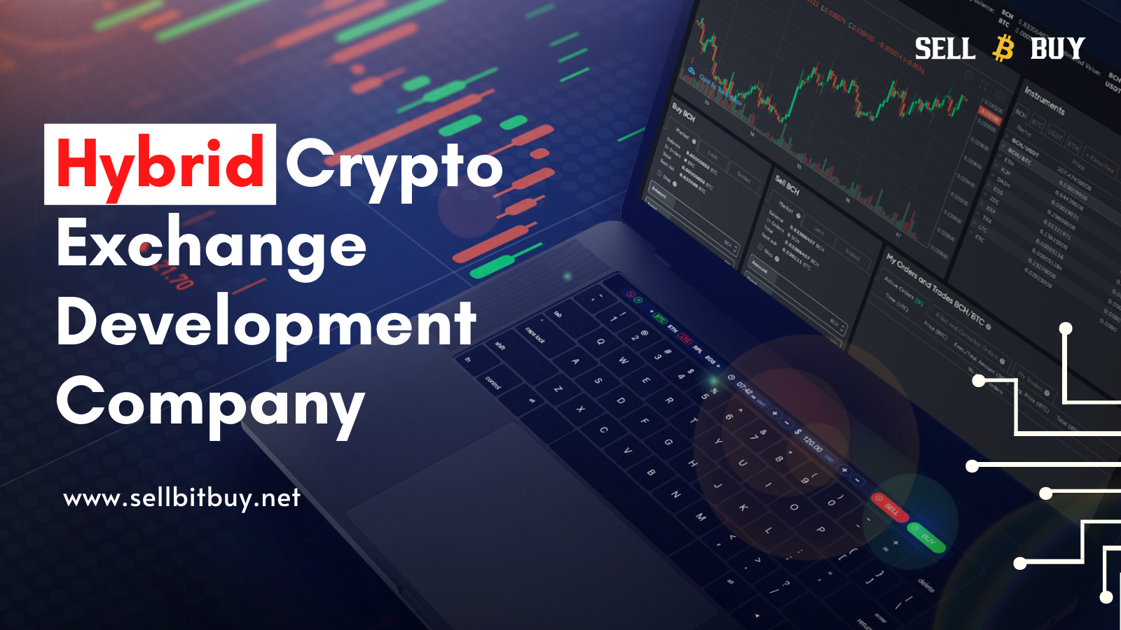 Hybrid Crypto Exchange Software Development Company