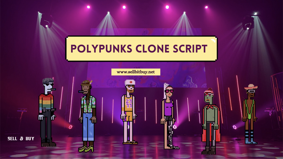 PolyPunks Clone Script - To Build Your NFT-based PolyPunks Collectibles On Polygon (Matic) blockchain