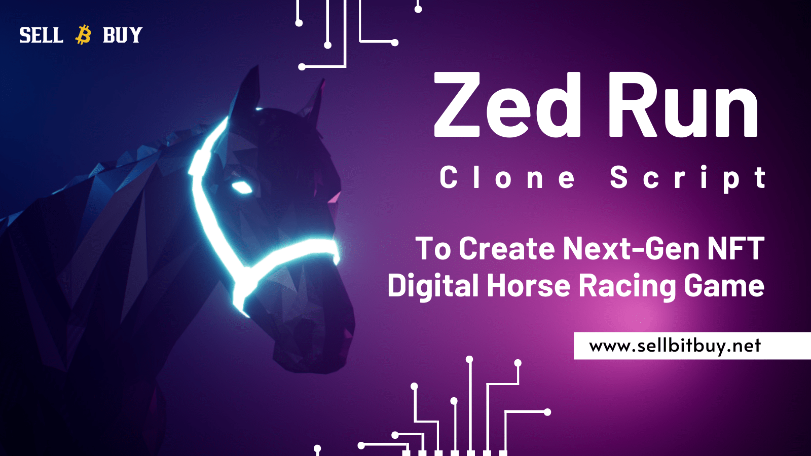 Zed Run Clone Script | Zed Run Clone | Create Zed Run Clone